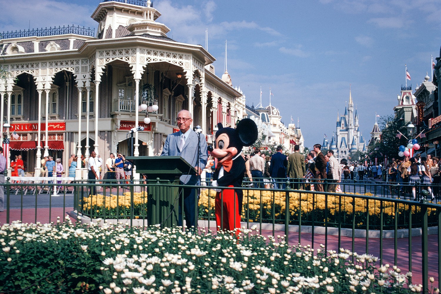 Las 8 mejores experiencias nuevas inspiradas en el 50 aniversario de Walt Disney Worlds 